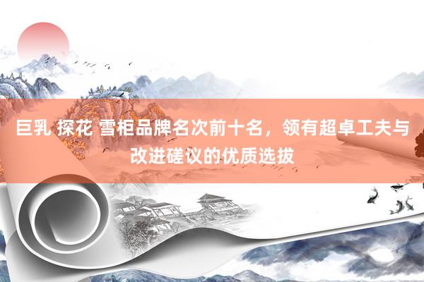 巨乳 探花 雪柜品牌名次前十名，领有超卓工夫与改进磋议的优质选拔