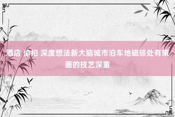 酒店 偷拍 深度想法新大脑城市泊车地磁惩处有策画的技艺深重