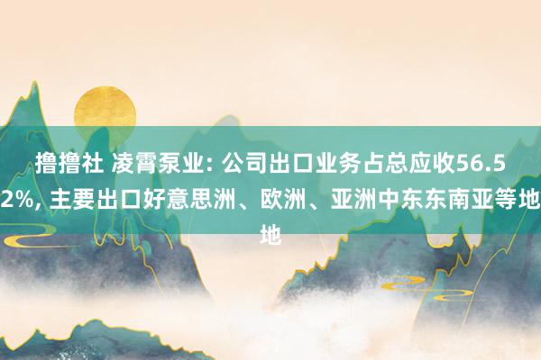 撸撸社 凌霄泵业: 公司出口业务占总应收56.52%， 主要出口好意思洲、欧洲、亚洲中东东南亚等地