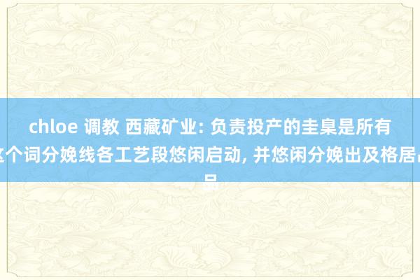 chloe 调教 西藏矿业: 负责投产的圭臬是所有这个词分娩线各工艺段悠闲启动， 并悠闲分娩出及格居品