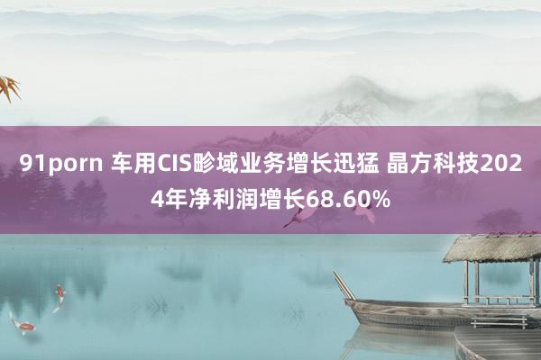 91porn 车用CIS畛域业务增长迅猛 晶方科技2024年净利润增长68.60%