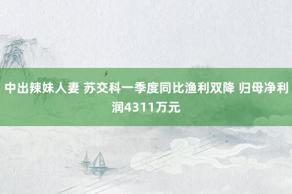 中出辣妹人妻 苏交科一季度同比渔利双降 归母净利润4311万元
