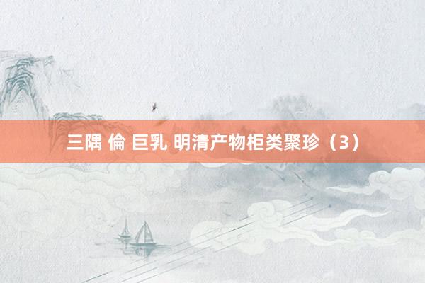 三隅 倫 巨乳 明清产物柜类聚珍（3）
