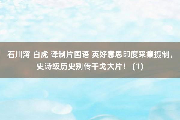 石川澪 白虎 译制片国语 英好意思印度采集摄制，史诗级历史别传干戈大片！ (1)
